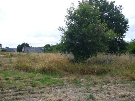 1.4 axe est Ouest depuis le bord Sud.JPG